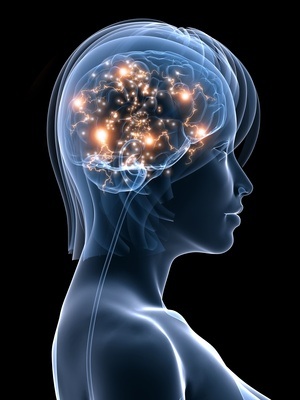 transparenter Kopf mit aktivem Gehirn